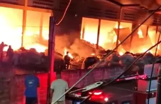 Imagem ilustrativa da imagem 