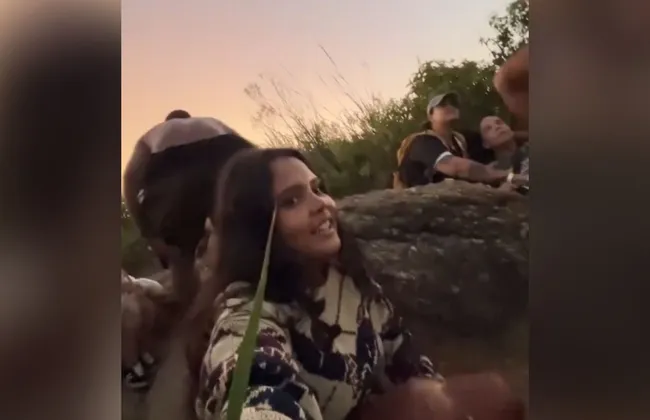 Imagem ilustrativa da imagem 