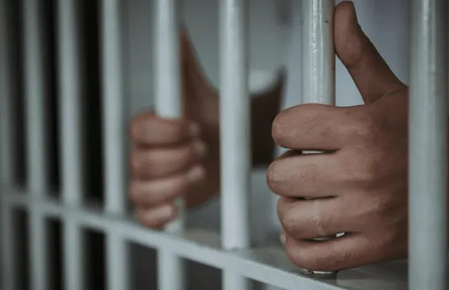 Imagem ilustrativa da imagem 