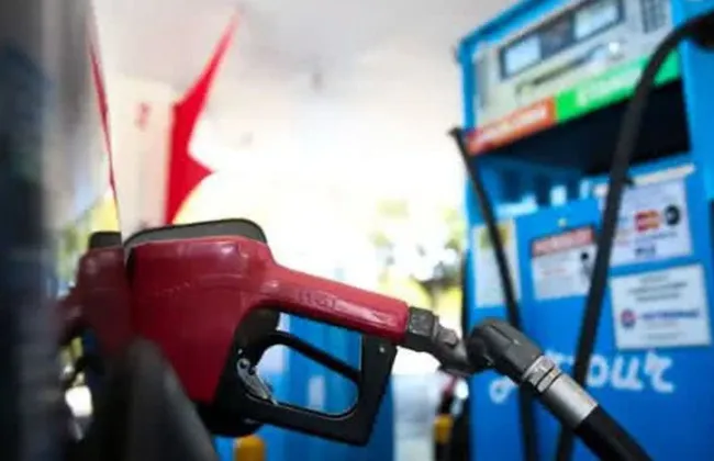 Imagem ilustrativa da imagem 