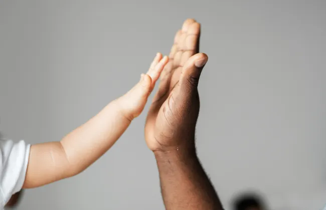 Imagem ilustrativa da imagem 