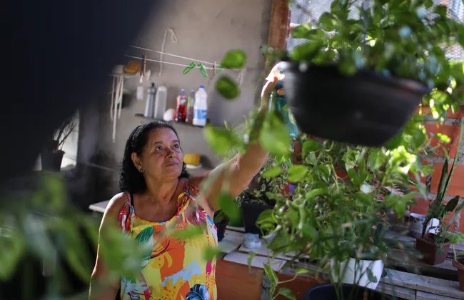 Imagem ilustrativa da imagem Mais que um hobby: cuidar de plantas traz bem-estar e acolhimento