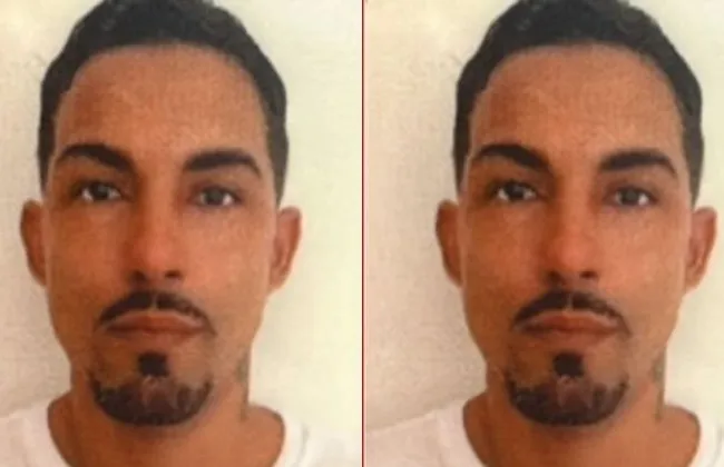 Imagem ilustrativa da imagem 