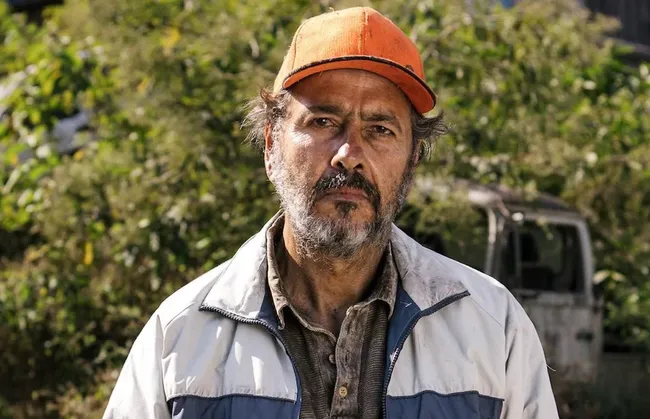 Imagem ilustrativa da imagem Marcos Palmeira sofre furto dentro de festa da Globo