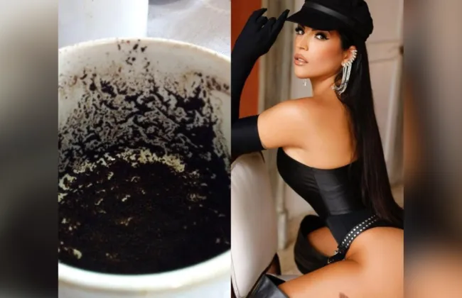 Imagem ilustrativa da imagem 