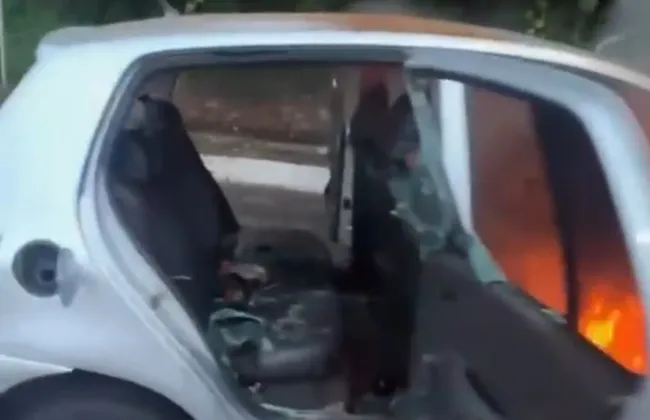 Imagem ilustrativa da imagem 