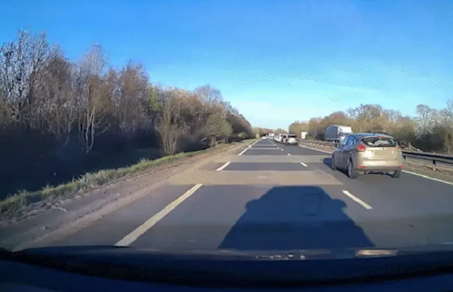 Imagem ilustrativa da imagem 