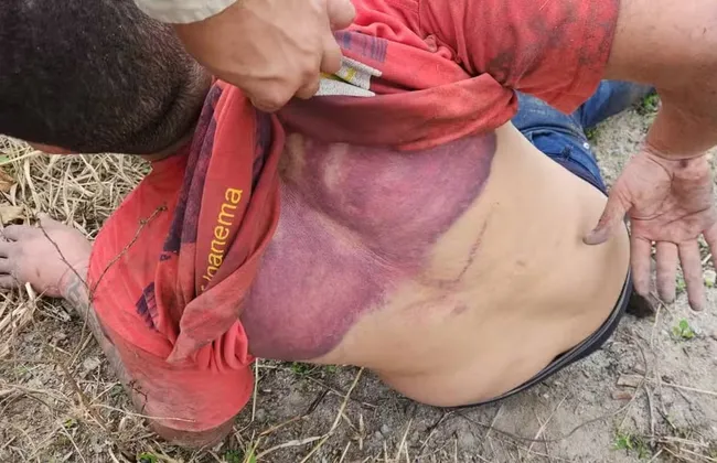 Imagem ilustrativa da imagem 