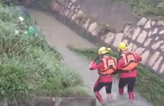 Imagem ilustrativa da imagem 