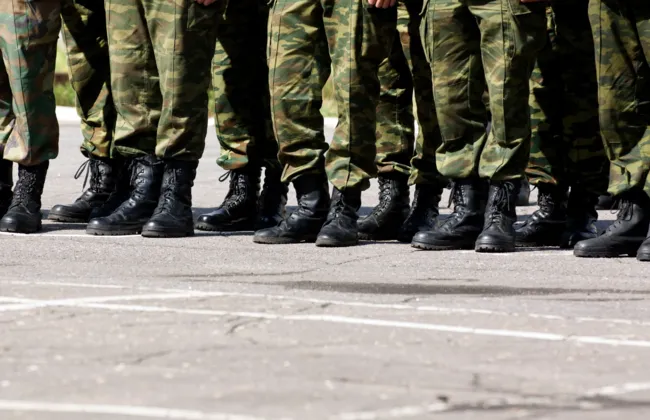 Imagem ilustrativa da imagem 