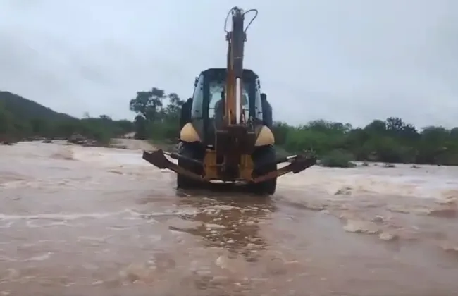 Imagem ilustrativa da imagem 