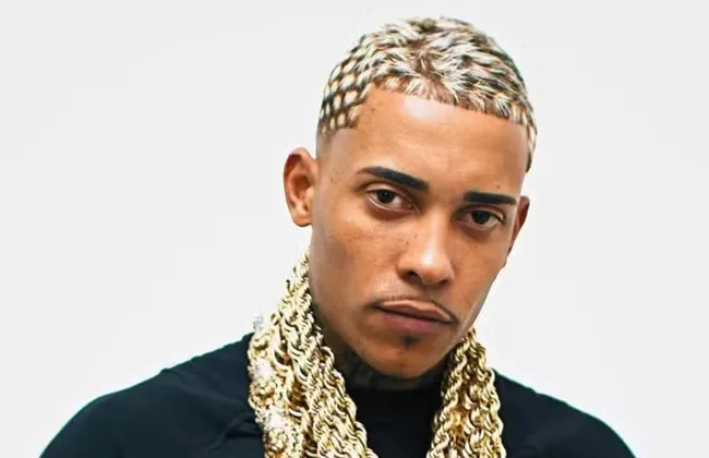 Imagem ilustrativa da imagem 