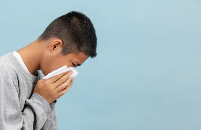 Imagem ilustrativa da imagem 