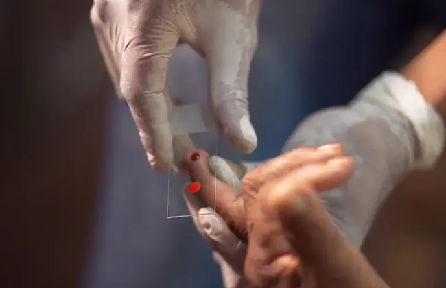 Imagem ilustrativa da imagem 