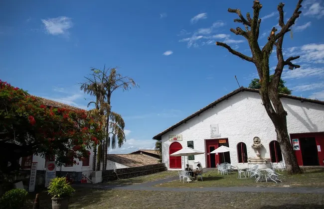 Imagem ilustrativa da imagem 