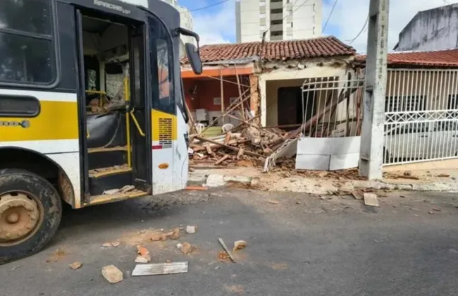 Imagem ilustrativa da imagem 