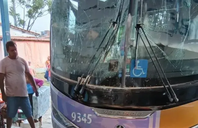 Imagem ilustrativa da imagem 