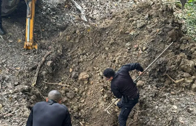 Imagem ilustrativa da imagem 