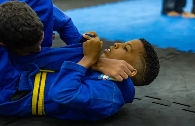 Imagem ilustrativa da imagem 