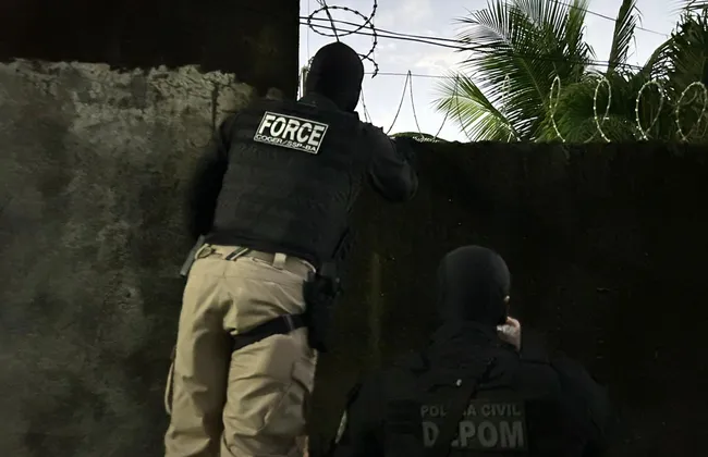 Imagem ilustrativa da imagem 