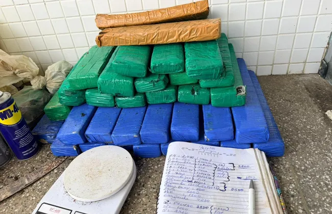 Imagem ilustrativa da imagem 