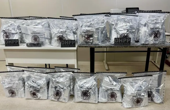 Imagem ilustrativa da imagem 