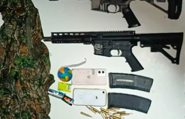 Imagem ilustrativa da imagem 