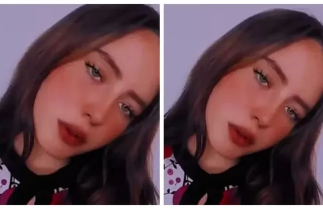 Imagem ilustrativa da imagem 