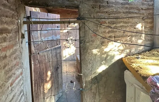 Imagem ilustrativa da imagem 