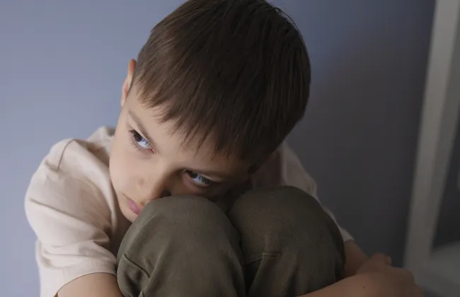 Imagem ilustrativa da imagem 