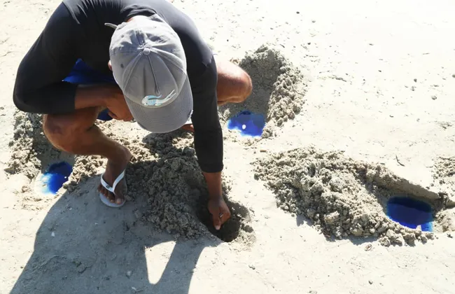 Imagem ilustrativa da imagem 