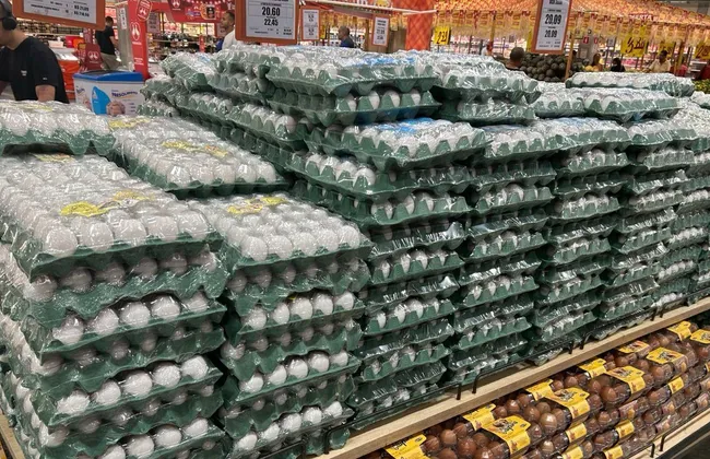 Imagem ilustrativa da imagem 