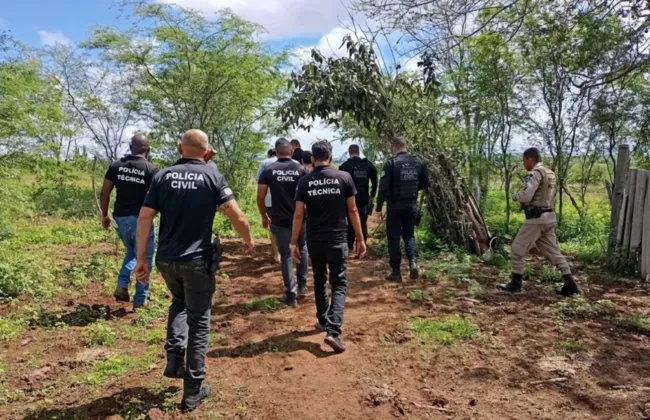 Imagem ilustrativa da imagem 