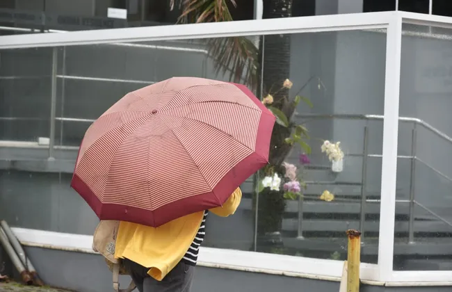 Imagem ilustrativa da imagem 