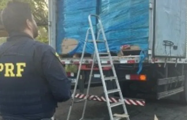 Imagem ilustrativa da imagem 