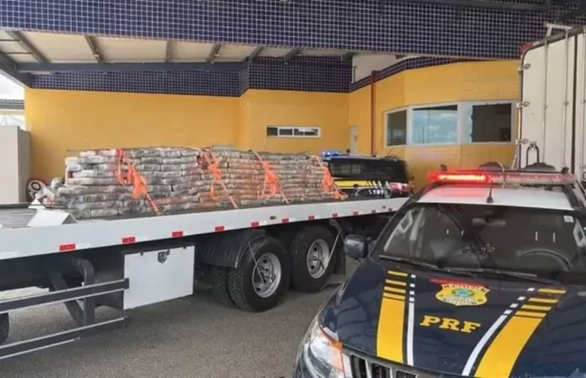 Imagem ilustrativa da imagem PRF apreende quase 2 toneladas de maconha na Bahia