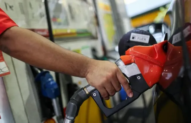 Imagem ilustrativa da imagem 