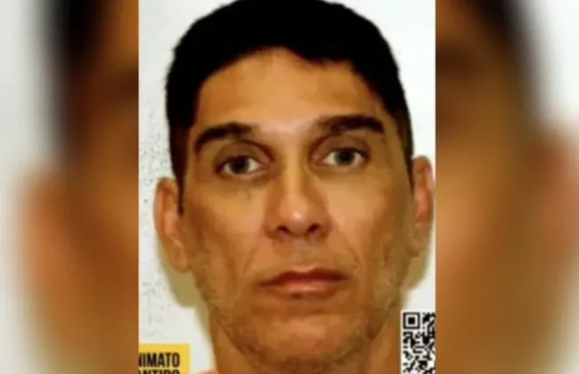 Imagem ilustrativa da imagem 