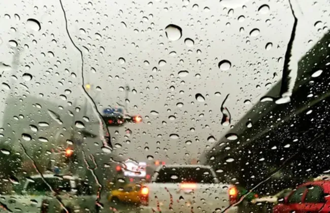 Imagem ilustrativa da imagem 