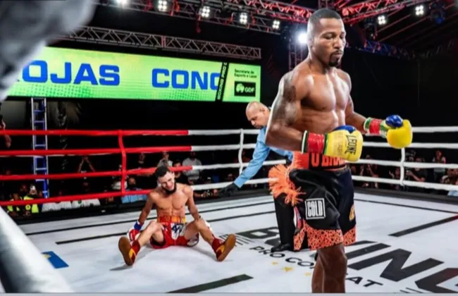 Imagem ilustrativa da imagem 