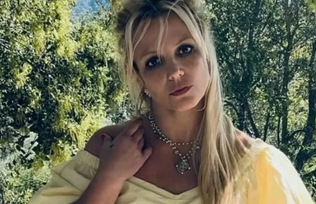 Imagem ilustrativa da imagem 