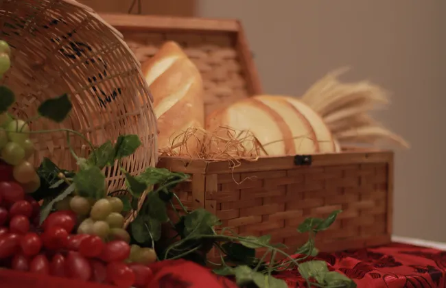 Imagem ilustrativa da imagem 