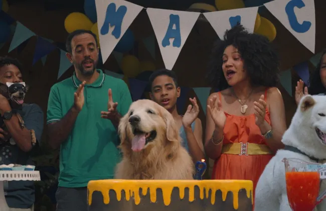 Imagem ilustrativa da imagem 