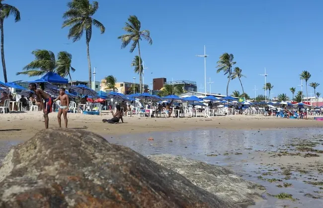 Imagem ilustrativa da imagem 