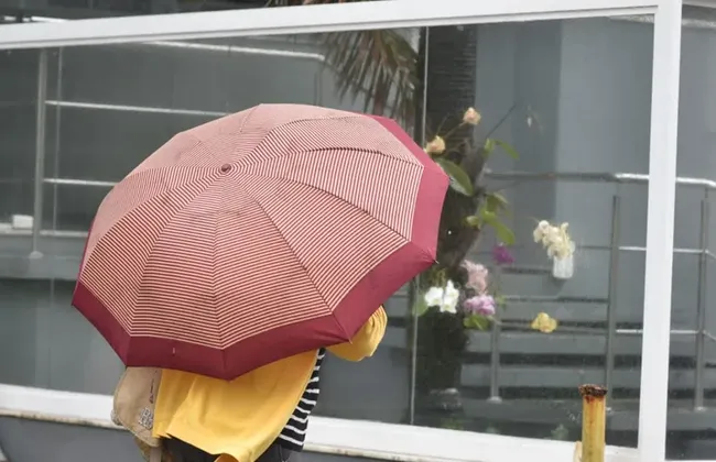 Imagem ilustrativa da imagem 