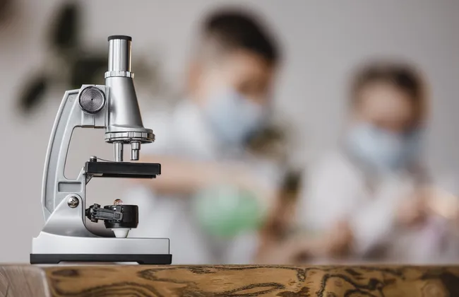 Imagem ilustrativa da imagem 