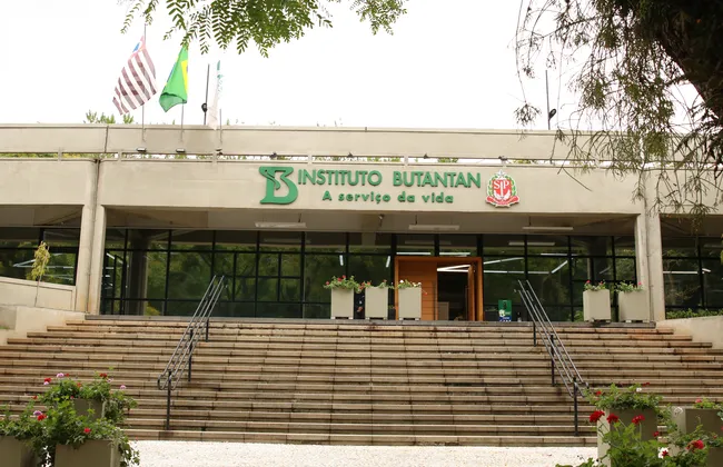 Imagem ilustrativa da imagem 