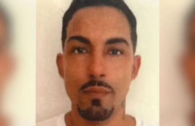 Imagem ilustrativa da imagem 