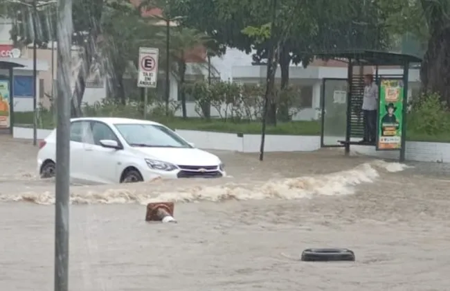 Imagem ilustrativa da imagem 