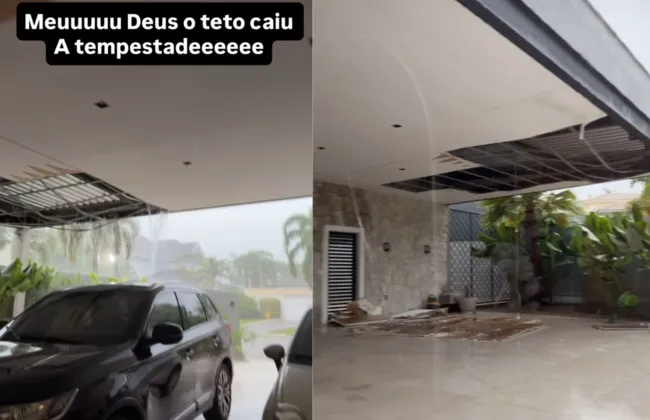 Imagem ilustrativa da imagem 